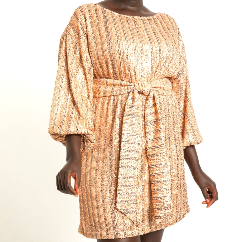 Eloquii NWT Striped Sequin Easy Dress Size 22/24